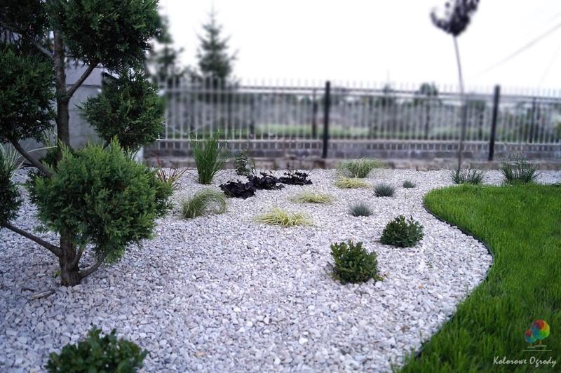 Ekologia rabat żwirowych