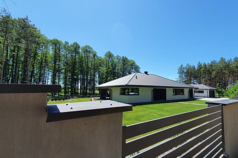 Pielęgnacja roślin na dachu