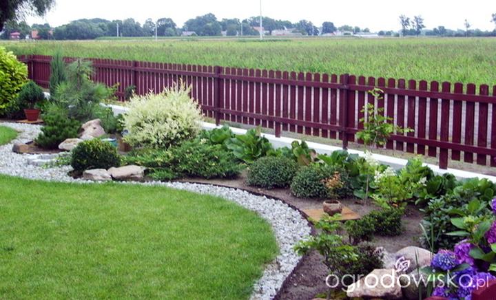 Rośliny do przedogródka