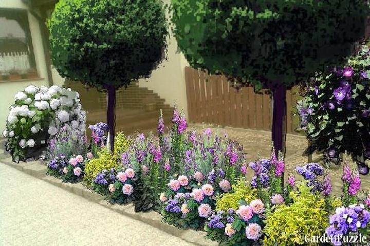 Jak stworzyć wyjątkową rabatę z lawendą i różami – praktyczny przewodnik dla każdego ogrodnika