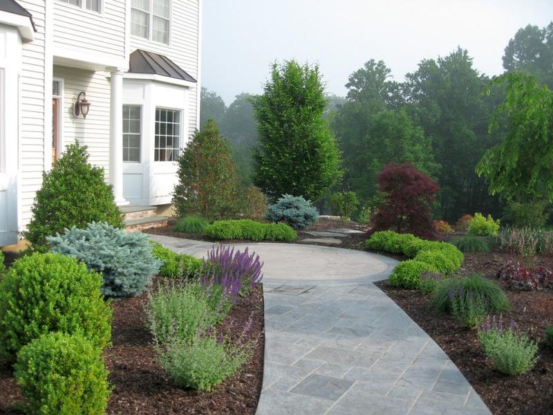 Harmonijne kompozycje roślinne