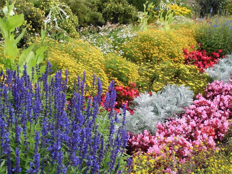 Kolorystyka w aranżacji ogrodu