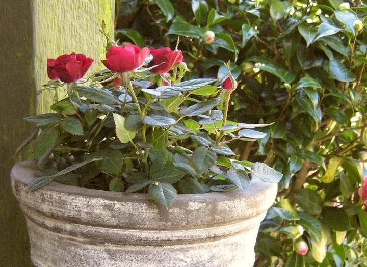 Odpowiednie warunki świetlne