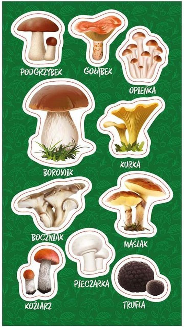 Robaczywe grzyby w kulinariach