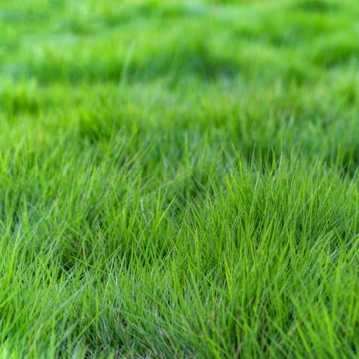 Zalety i wady mikrokoniczyny