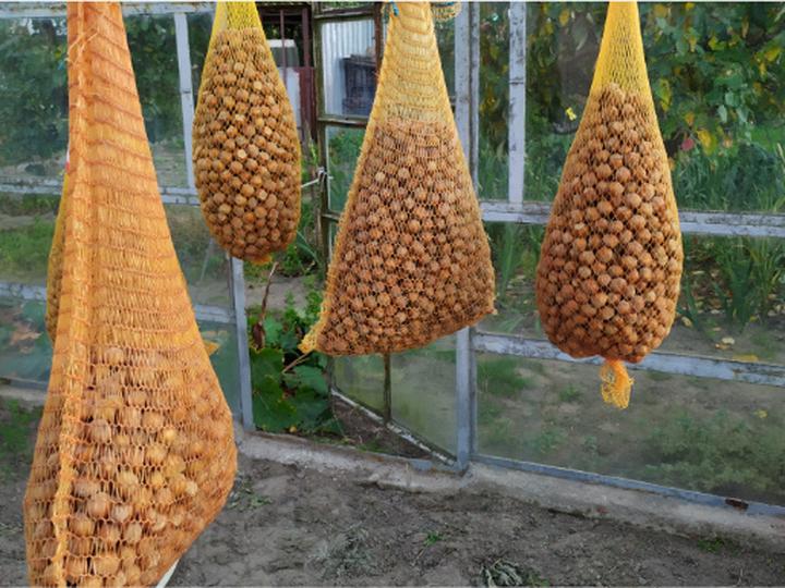 Zalety suszenia na świeżym powietrzu