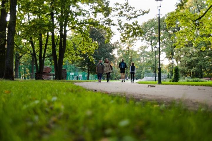 Znaczenie hektara w rolnictwie