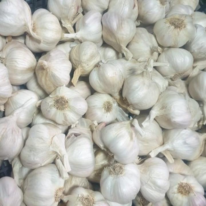 Czosnek wiosenny – kiedy i jak go skutecznie sadzić?