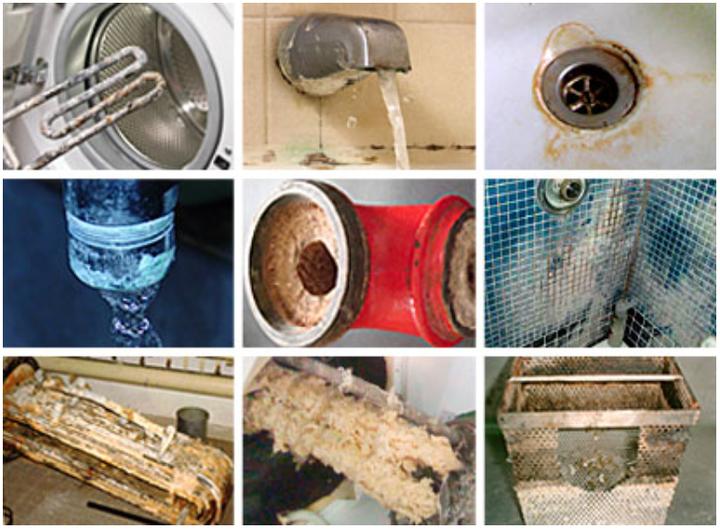 Pielęgnacja roślin doniczkowych