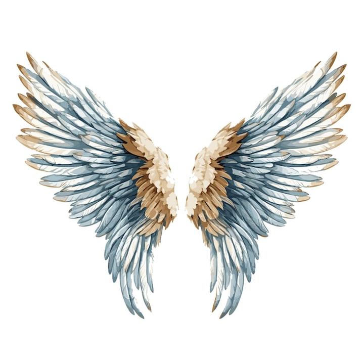 Pielęgnacja skrzydeł anioła