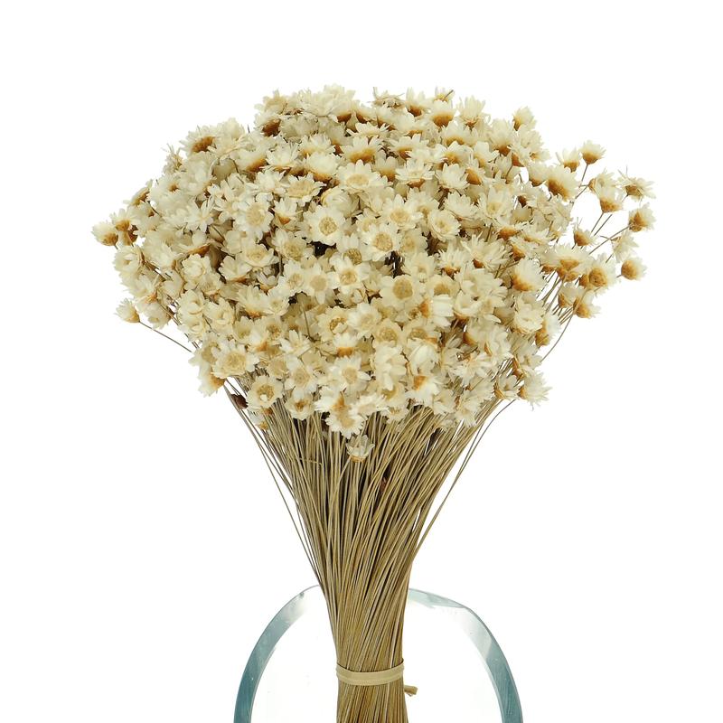 Imiona inspirowane florą