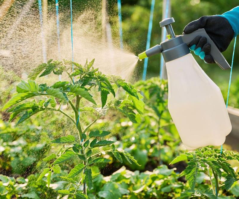 Naturalne metody ochrony roślin