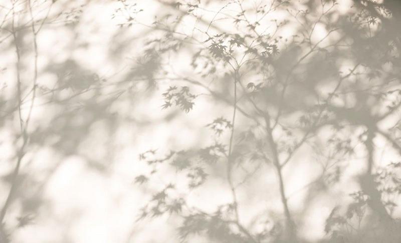 Praktyczne metody cienia