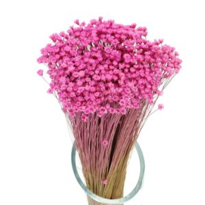 Kwiatowe inspiracje: piękne imiona dla kobiet, które pachną naturą