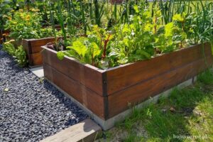 Odkryj Zalety Grządek Podwyższonych: Jak Je Przygotować i Dlaczego Warto Je Mieć?