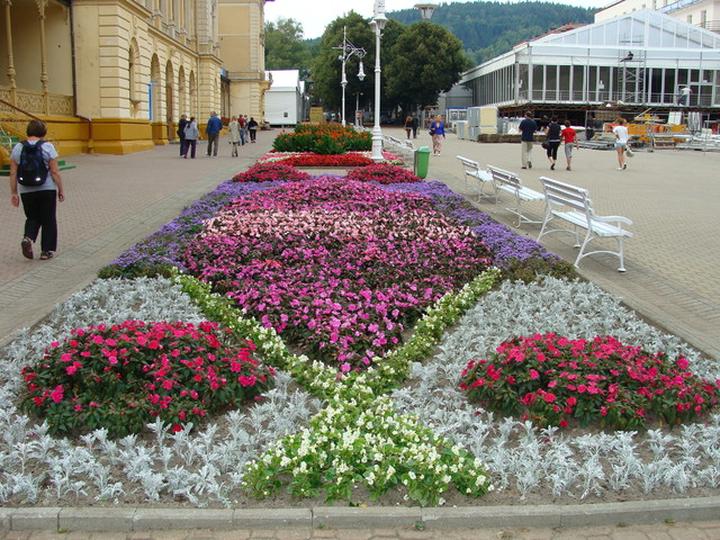 Dobór roślin do rabat