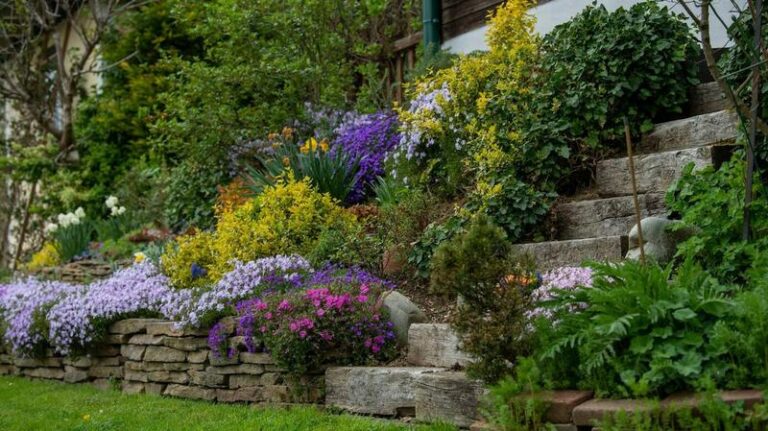 Jak efektownie urządzić ogród na skarpie? Praktyczne porady i inspiracje