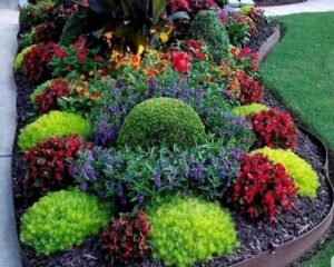 Tworzenie pięknych rabat: jak dobierać rośliny, by zachwycały przez cały sezon