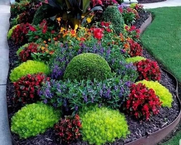 Tworzenie pięknych rabat: jak dobierać rośliny, by zachwycały przez cały sezon