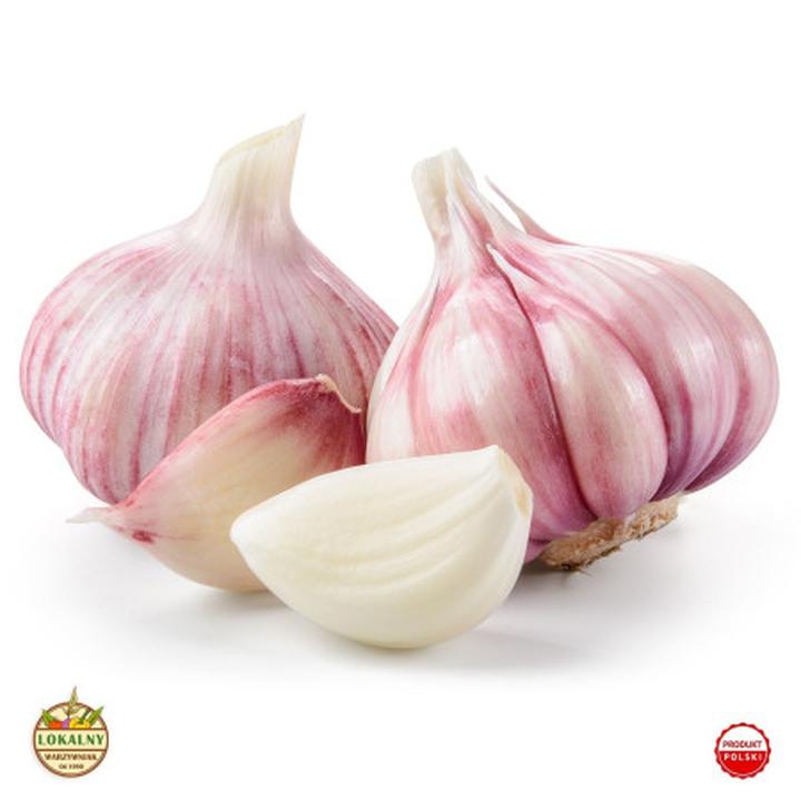 Idealny czas na wykopanie czosnku: zimowego i wiosennego – sprawdź, jak to zrobić!