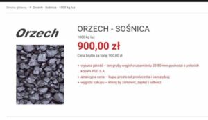 Orzech sosnica – co musisz wiedzieć o tym węglu? Opinie i cena na rynku