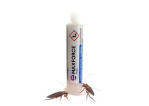 Najskuteczniejsze metody zwalczania karaczanów w 2024 roku: sprawdź, co działa!