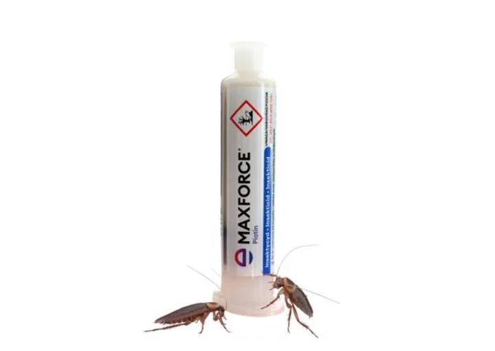 Najskuteczniejsze metody zwalczania karaczanów w 2024 roku: sprawdź, co działa!