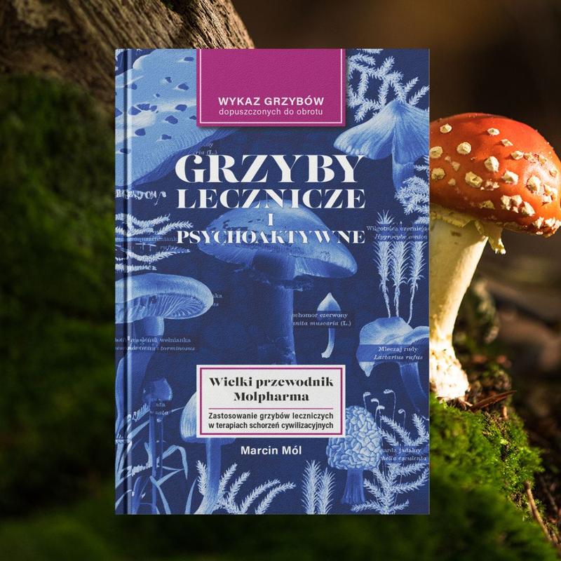 Czas moczenia grzybów