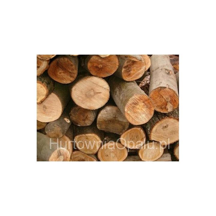 Gęstość drewna różnych gatunków