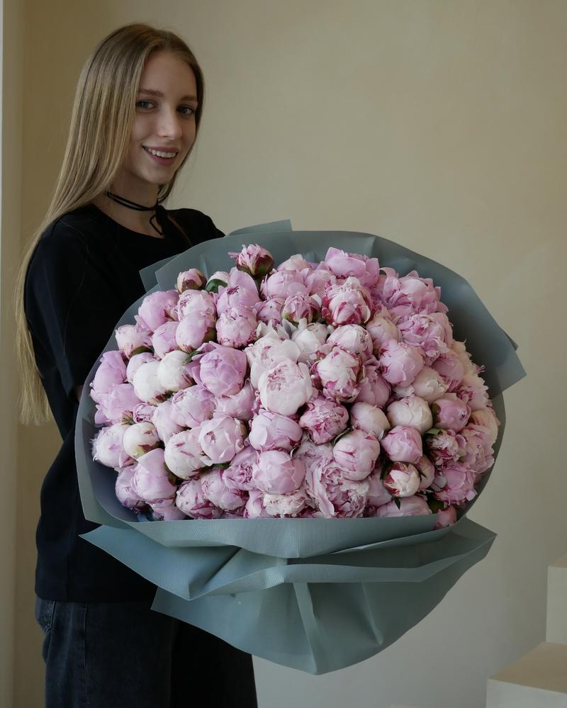 Odmiany piwonii w Polsce