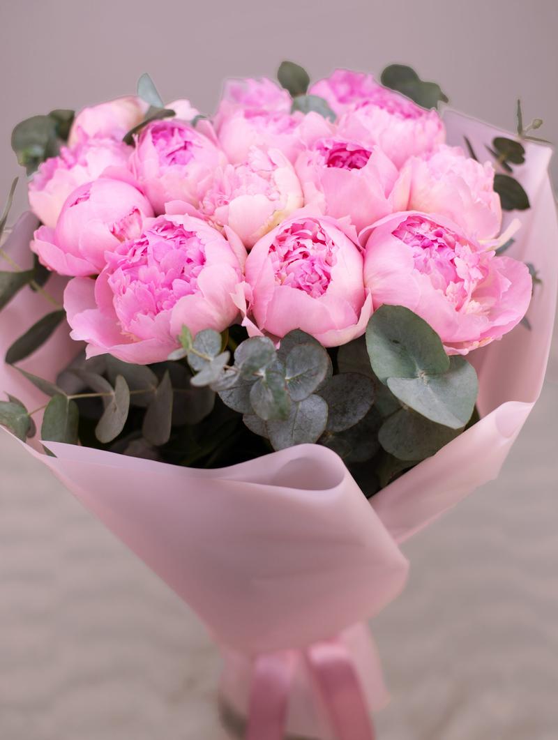 Pielęgnacja piwonii w ciągu roku