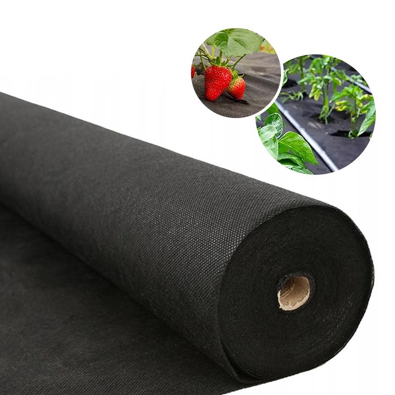 Pielęgnacja rabat ogrodowych