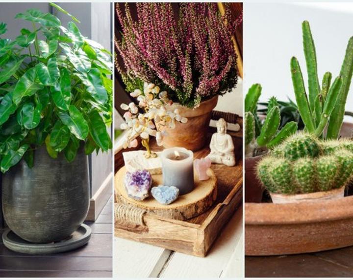 Przedmioty przynoszące pecha