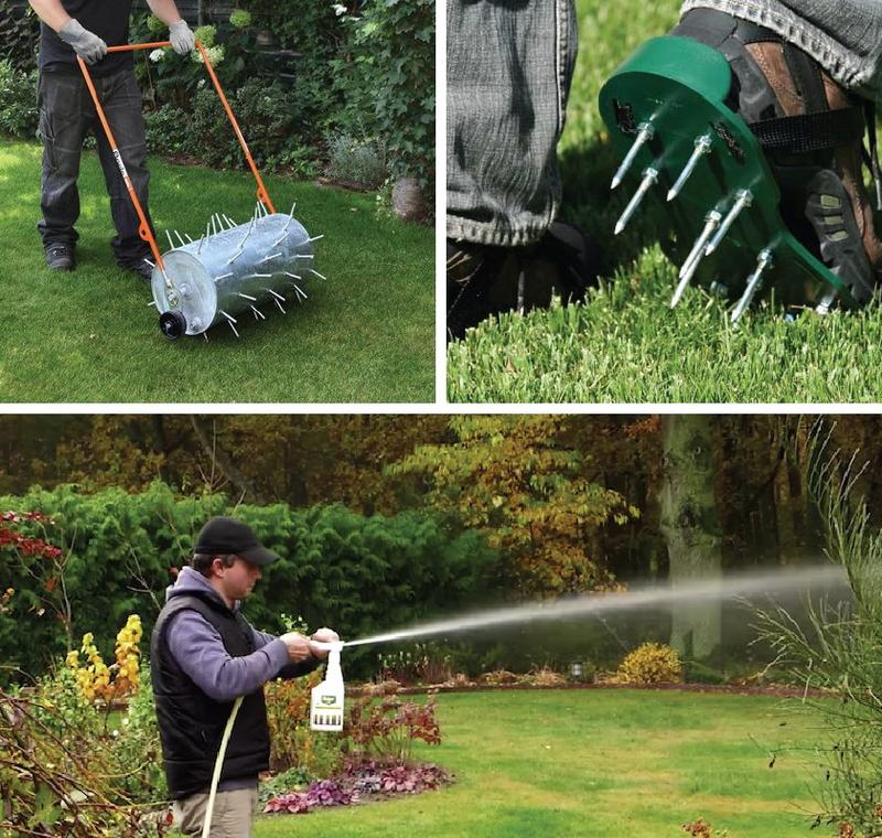 Regeneracja trawnika po zimie