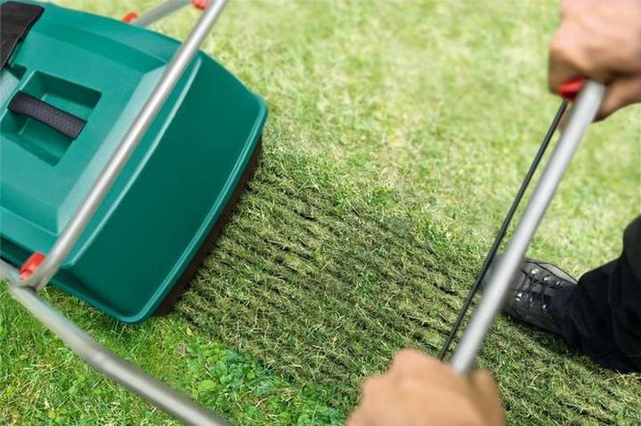 Wiosenne nawożenie trawnika