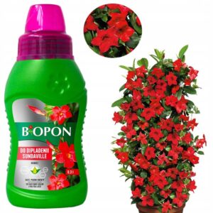 Jak skutecznie zimować sundaville, aby cieszyć się ich urodą w kolejnym sezonie?