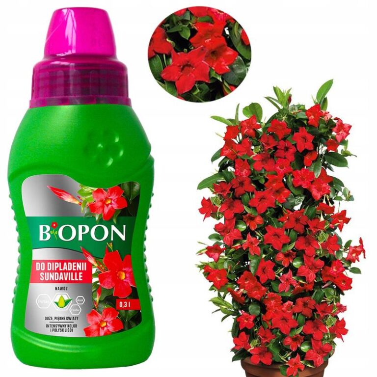 Jak skutecznie zimować sundaville, aby cieszyć się ich urodą w kolejnym sezonie?