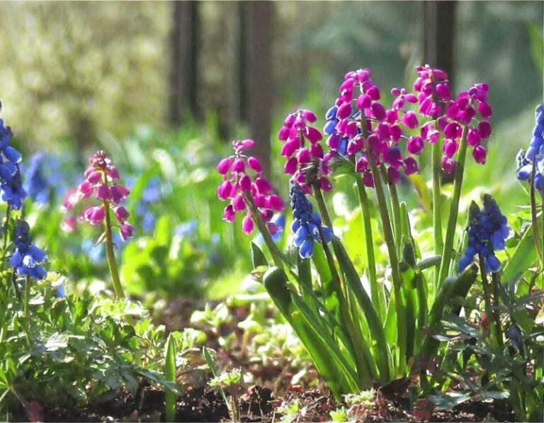 Modne rośliny do ogrodu: jakie gatunki warto mieć w swoim zielonym zakątku?